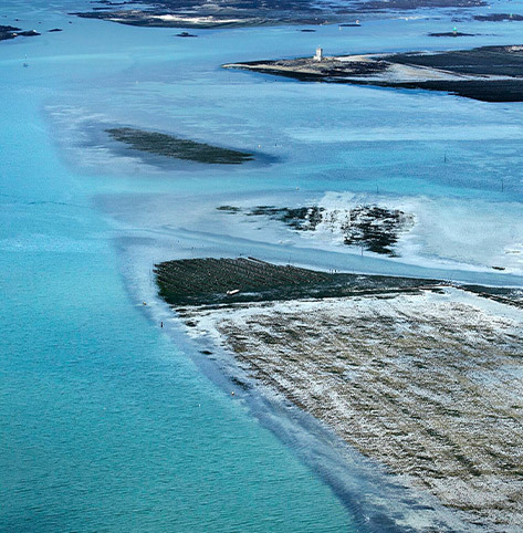 Birdseye view of the sea