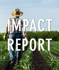 Report cover image
